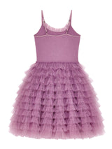 Velvet Vision Tutu Dress