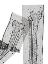 Bone Appetit Leggings