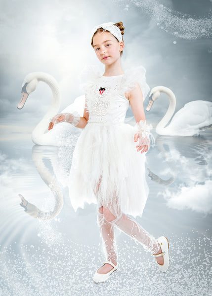 White Swan beauty dress♡accessory♡ Swan Lake White Wings | Tutu du Monde – Tutu Du Monde US