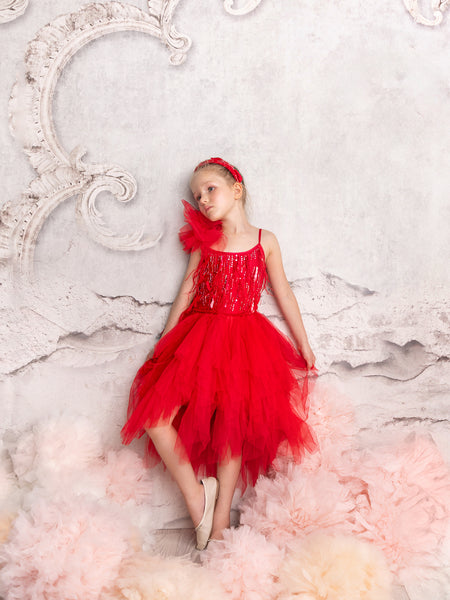 Ruby Dazzle Tutu Dress – Tutu Du Monde US