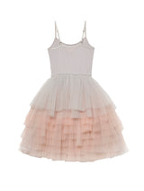 Willow Tutu Dress