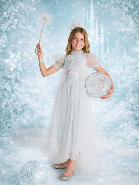 Snow Queen Blue Tutu Dress