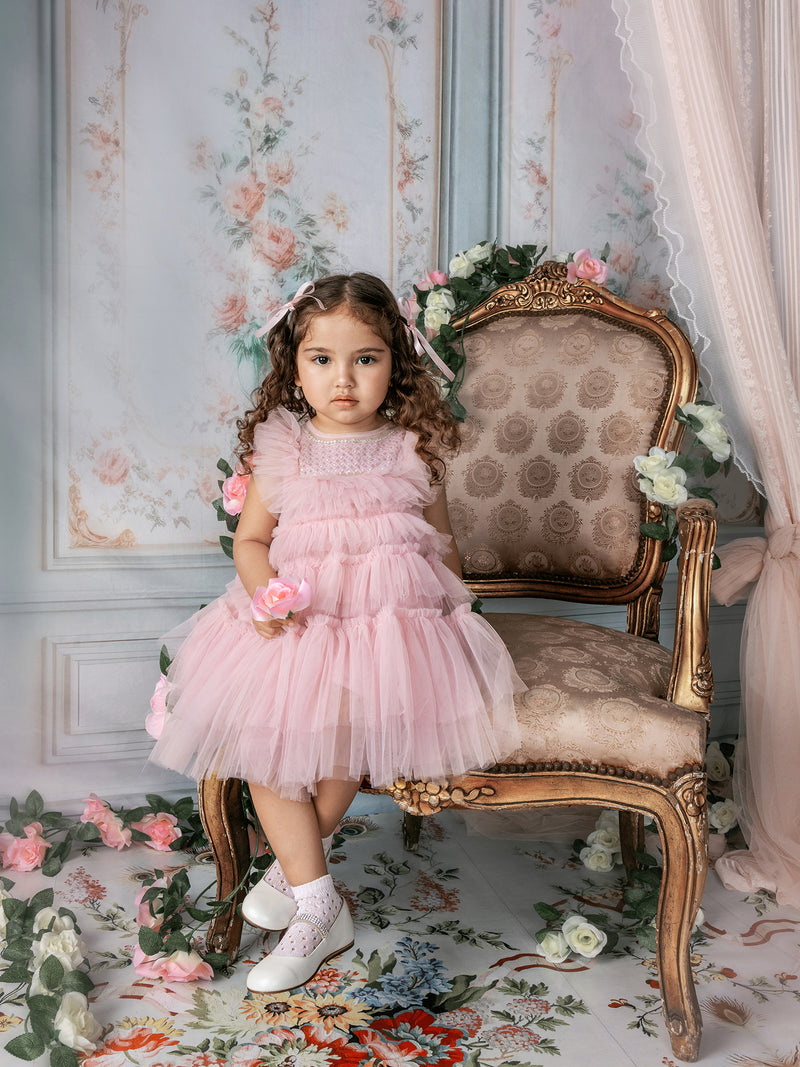 pink tutu dress 12 months NIEWTR Toddler Baby Girl Tutu Tulle Princess Butterfly Wings Dress Star Print Layered Tulle Dress Xmas Girls Party Dresses Size 0-5Y(A09-Pink,6-12
