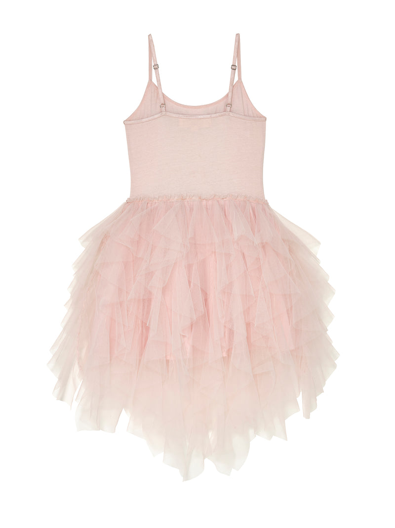 Glimmering Tutu Dress