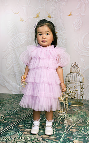 disney princess tutu dress PREORDER