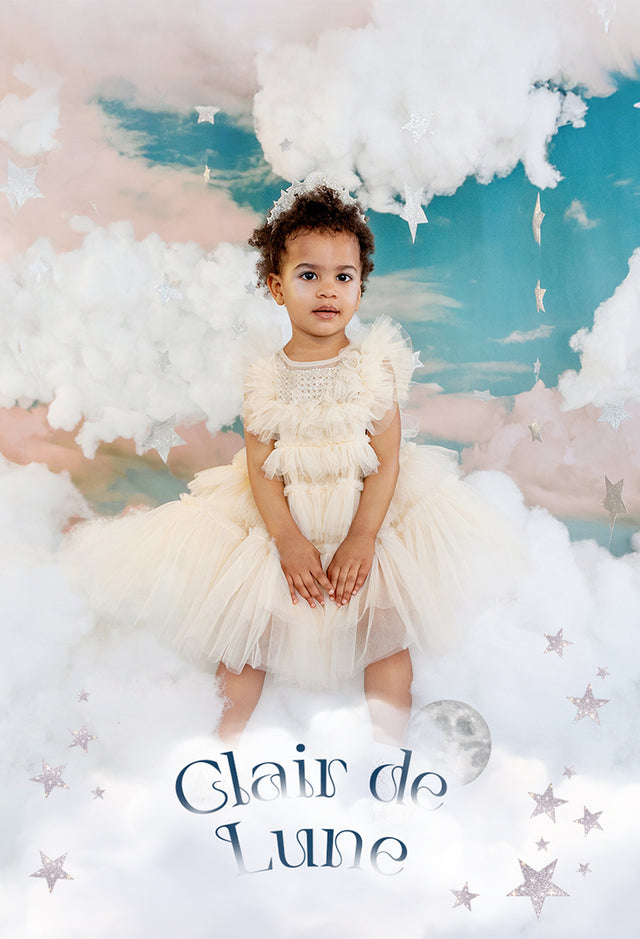 Maison de Dolce tutu tops Tutu Dolce - Etsy