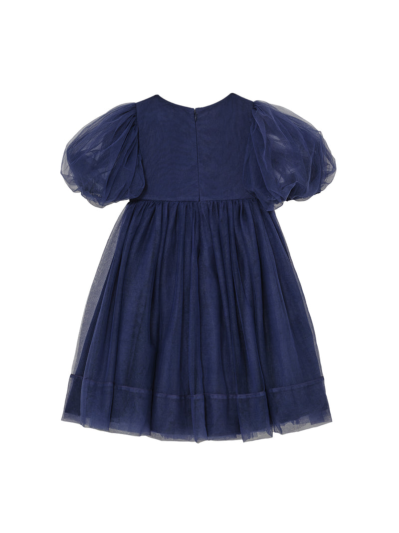Starlight Serenade Tulle Dress