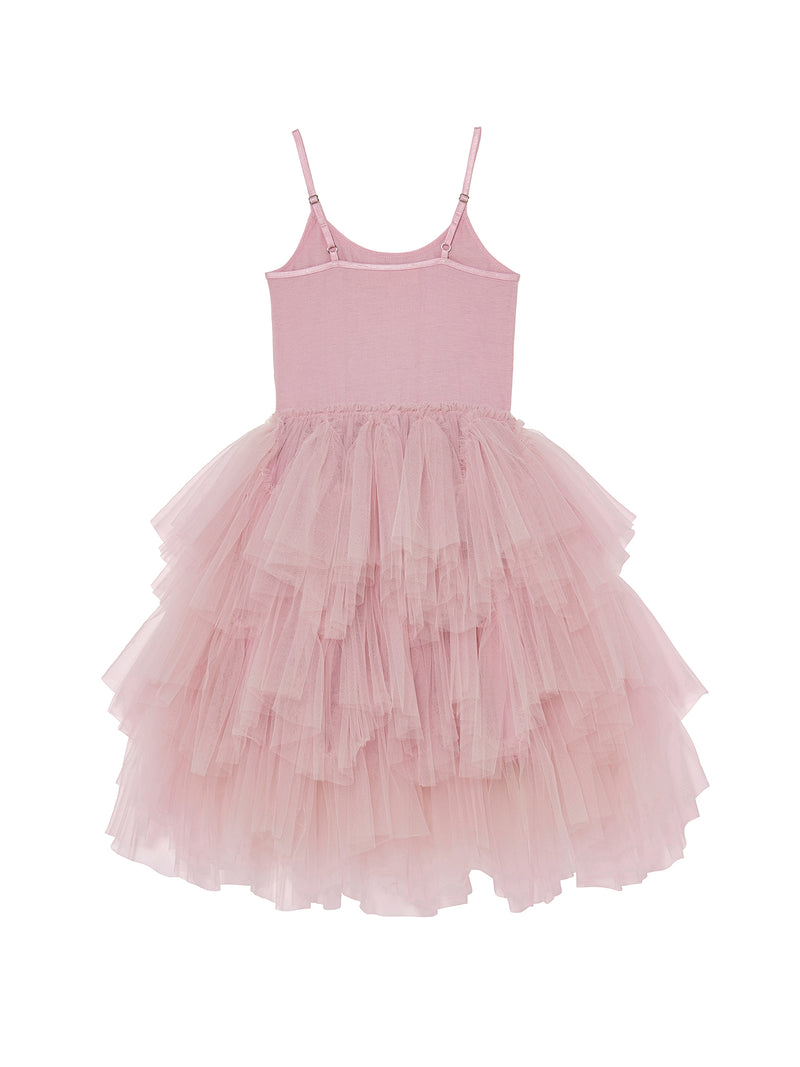 Gossip & Grace Tutu Dress