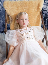 Powder Puff Tulle Dress
