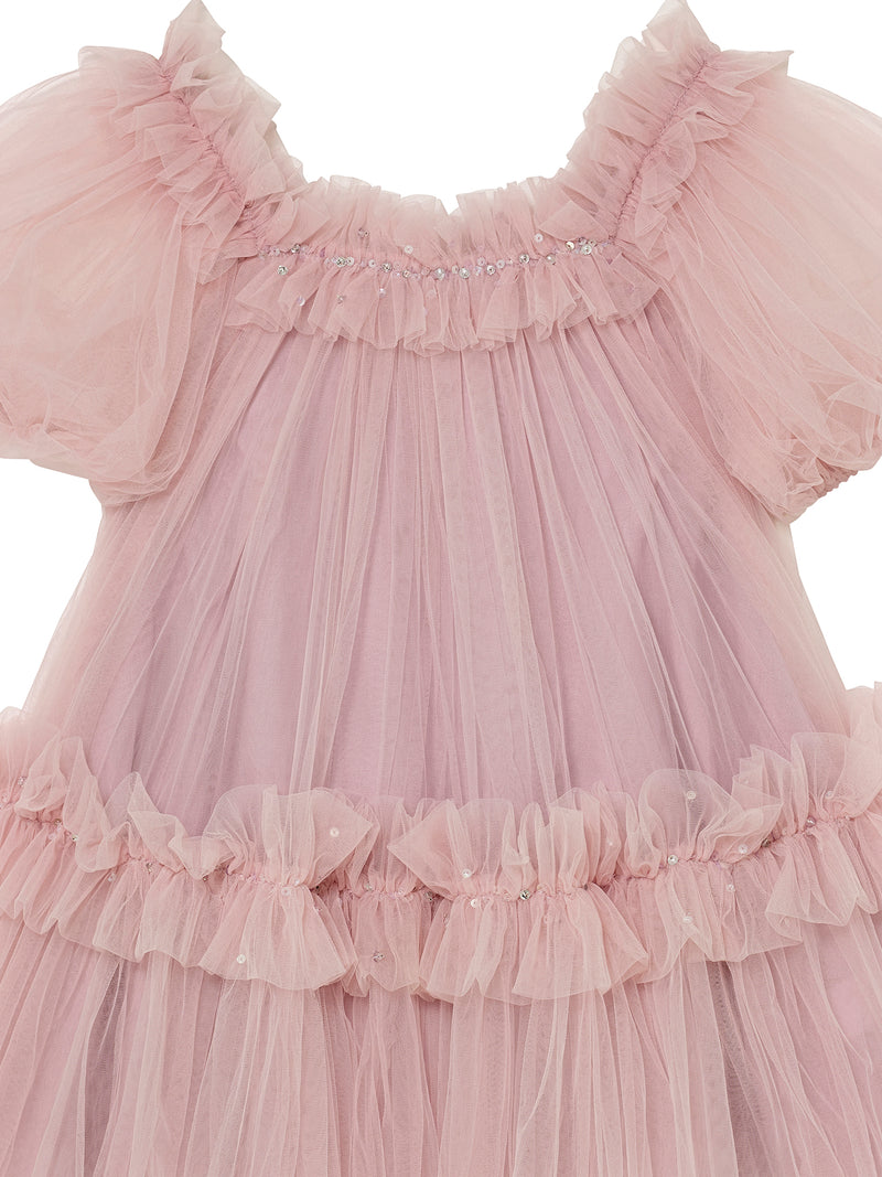 Fraisier Tulle Dress