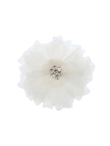 Cascade Gift Set | Value $303