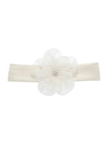 Bébé Emerald Reverie Gift Set | Value $195