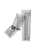 Bone Appetit Legings