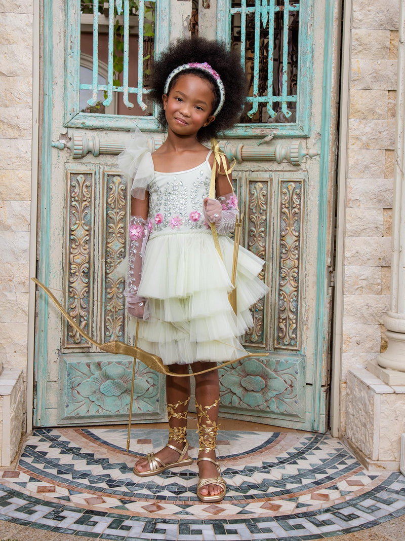 Marina Fleur Tutu Dress – Tutu Du Monde US