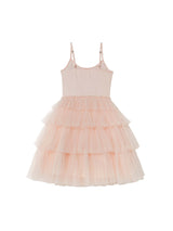 Blushing Horizon Tutu Dress