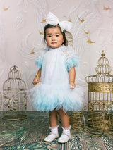 Bebe Abu Dhabi Tulle Dress