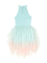 Stardom Tutu Dress