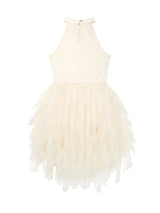 Glacier Grace Tutu Dress