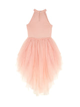 Chavanette Tutu Dress