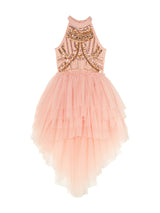 Chavanette Tutu Dress