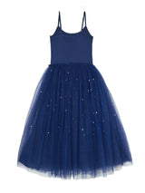 Winter Waltz Tutu Dress