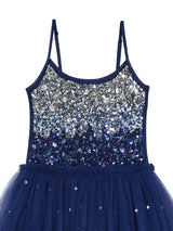 Winter Waltz Tutu Dress