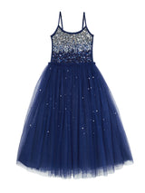 Winter Waltz Tutu Dress