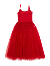 Winter Waltz Tutu Dress