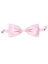 Bowlight Belle Choker