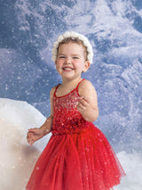 Bébé Winter Waltz Tutu Dress