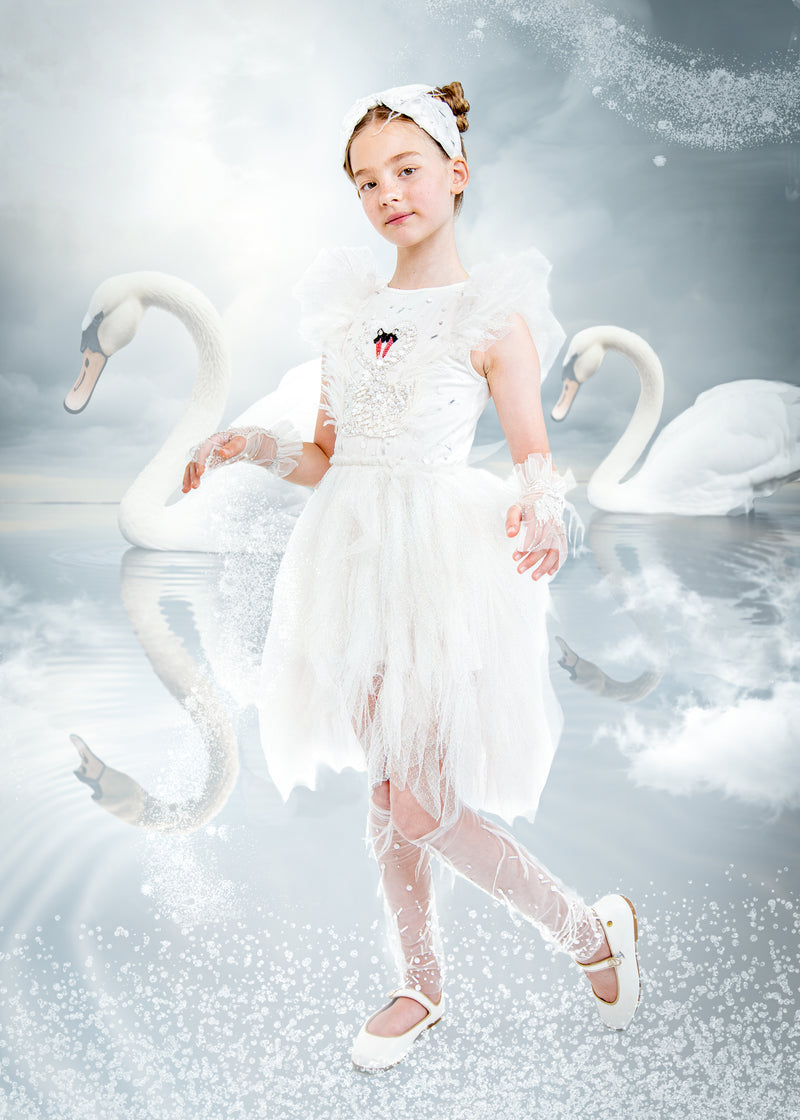 Swan Lake Dress