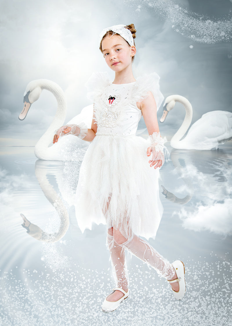 Swan Lake White Dress Swan Lake White Dress
