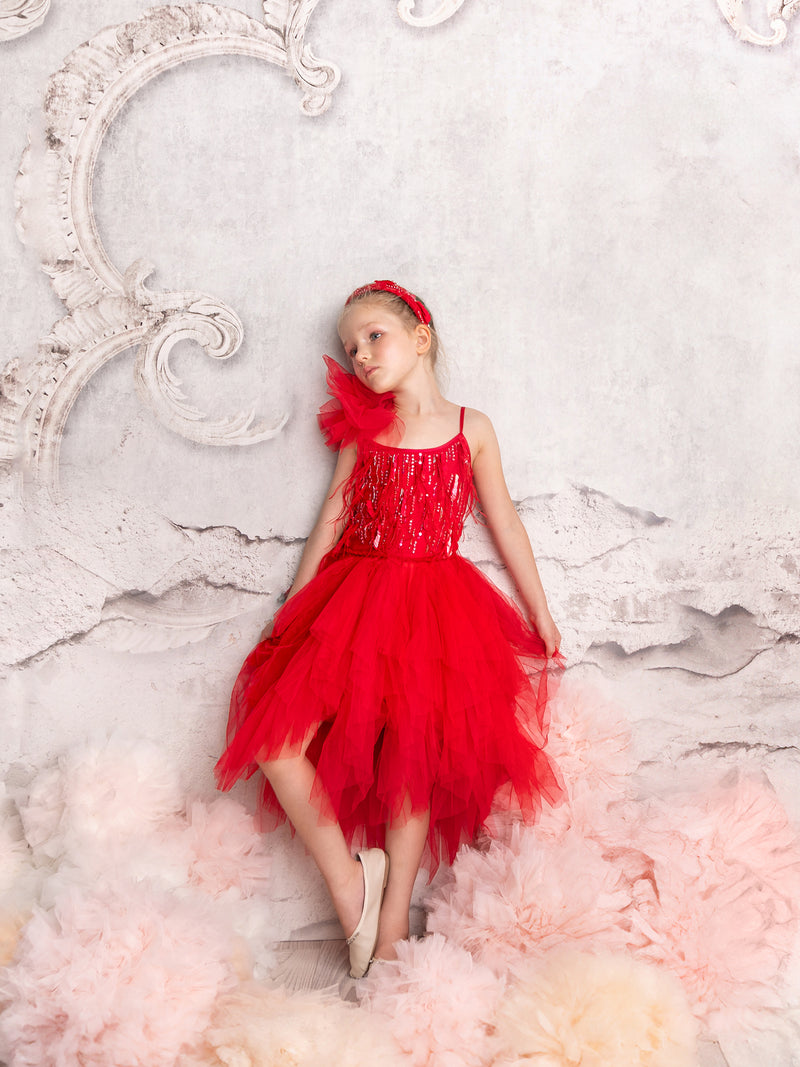 Ruby Dazzle Tutu Dress Tutu Du Monde US Ruby Dazzle Tutu Dress Tutu Du Monde US