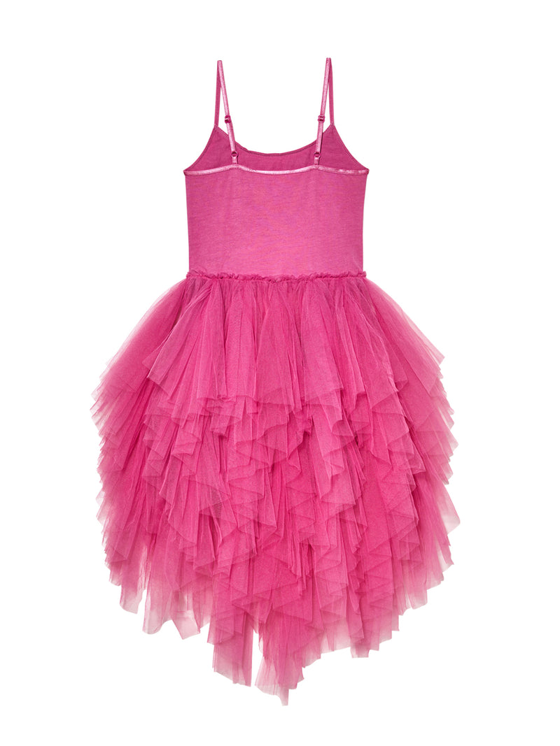 Magical Spectrum Tutu Dress