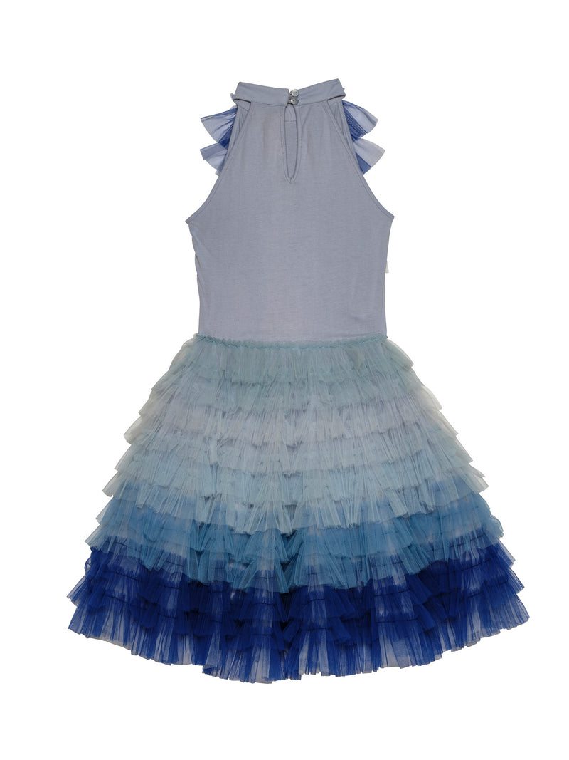 Swim Club Tutu Dress