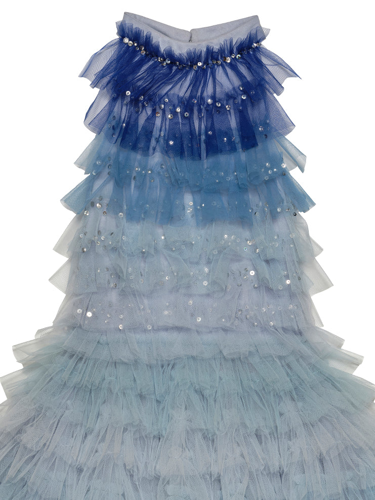 Swim Club Tutu Dress