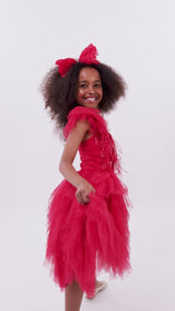 Ruby Dazzle Tutu Dress