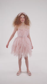 Swan Queen Tutu Dress