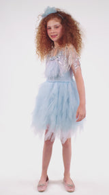 Swan Queen Tutu Dress